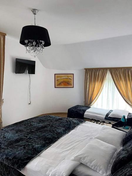 Pension CASA VIO from Borsa, Maramureș picture 13