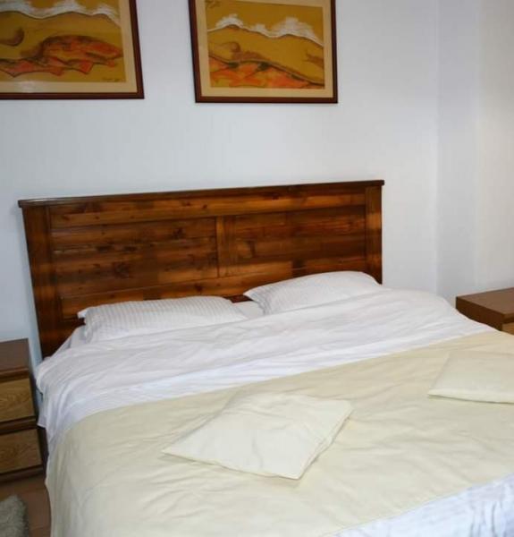 Pension CASA VIO from Borsa, Maramureș picture 22