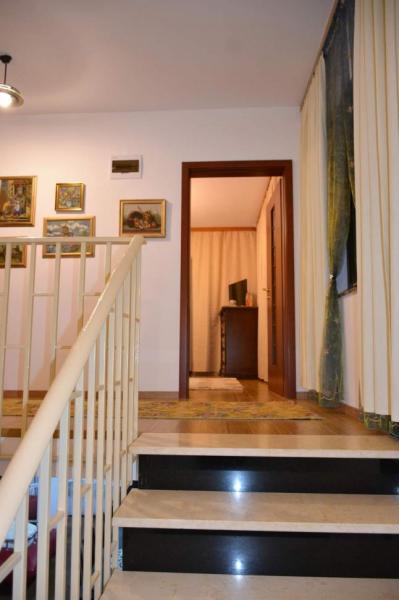Pension CASA VIO from Borsa, Maramureș picture 23