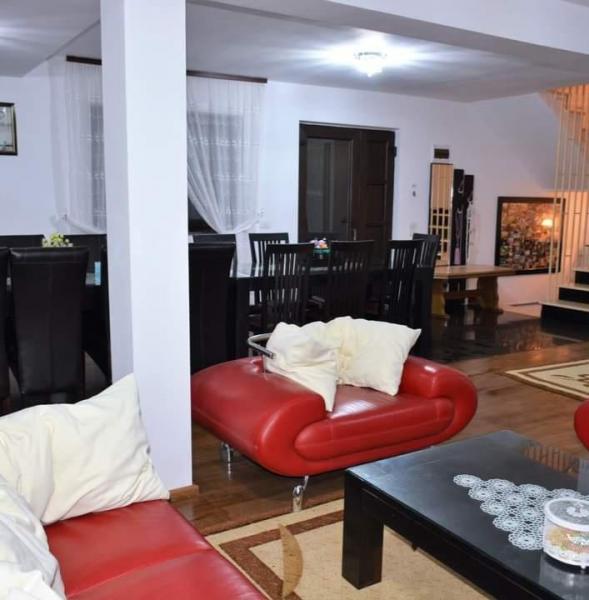 Pension CASA VIO from Borsa, Maramureș picture 26