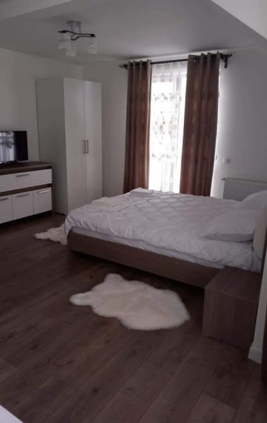 Pension CASA IURA from Oncesti, Maramureș picture 11
