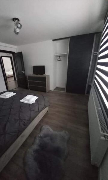 Pension CASA IURA from Oncesti, Maramureș picture 13
