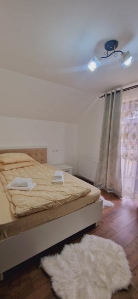 Pension CASA IURA from Oncesti, Maramureș picture 3
