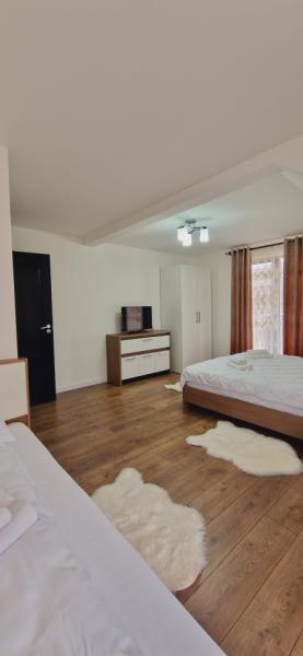 Pension CASA IURA from Oncesti, Maramureș picture 31