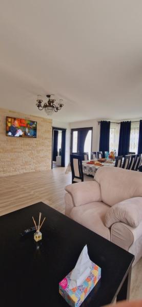 Pension CASA IURA from Oncesti, Maramureș picture 34