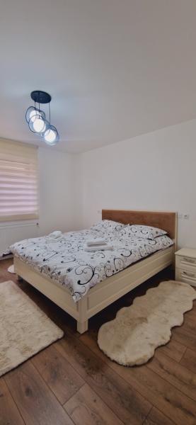 Pension CASA IURA from Oncesti, Maramureș picture 6