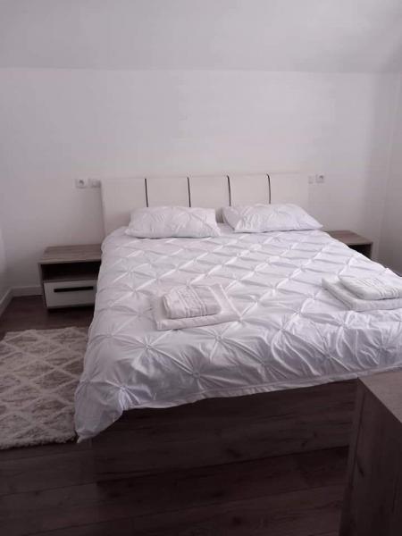 Pension CASA IURA from Oncesti, Maramureș picture 9