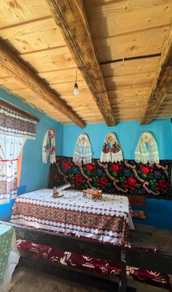 Cabin CASUTELE TUPU from Sarbi, Maramureș picture 11