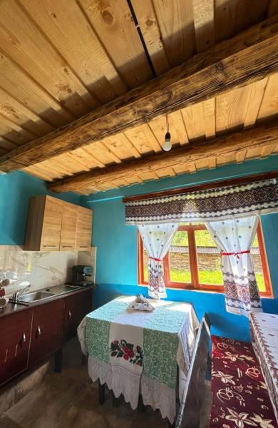 Cabin CASUTELE TUPU from Sarbi, Maramureș picture 12