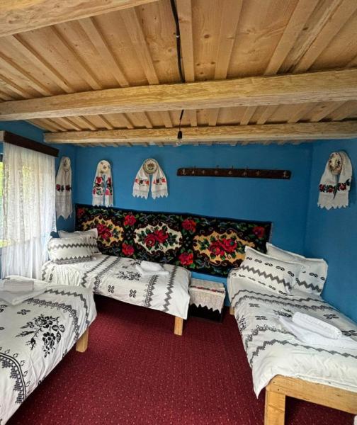 Cabin CASUTELE TUPU from Sarbi, Maramureș picture 5