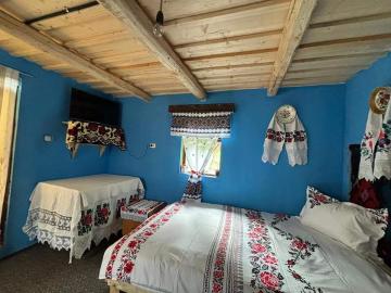 Cabin CASUTELE TUPU from Sarbi, Maramureș picture 8