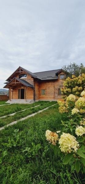 Pension CASA DE PE GRUI from Botiza, Maramureș picture 28