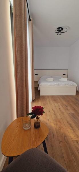 Pension PENSIUNEA TURC from Viseu De Jos, Maramureș picture 18