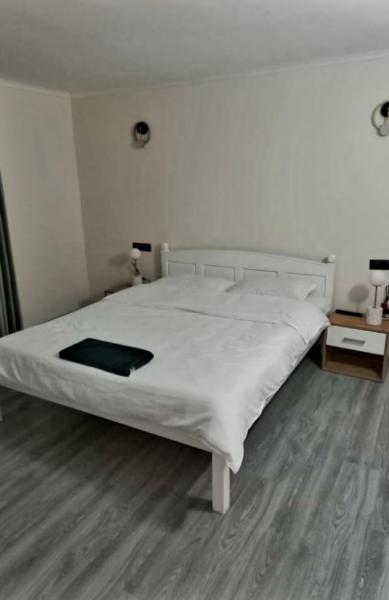 Pension CASA EDY from Viseu De Sus, Maramureș picture 6