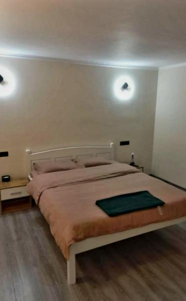 Pension CASA EDY from Viseu De Sus, Maramureș picture 7