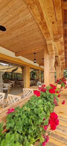 Pension PRISPA PREMIUM RESORT from Viseu De Sus, Maramureș picture 19