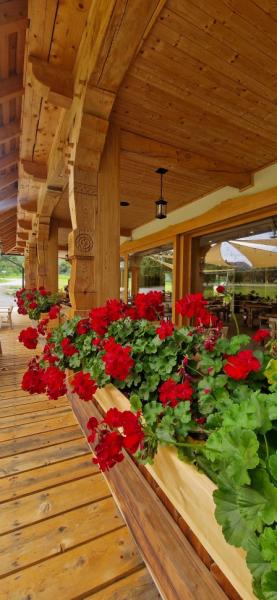 Pension PRISPA PREMIUM RESORT from Viseu De Sus, Maramureș picture 3