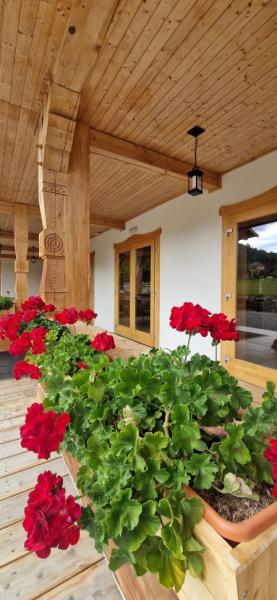 Pension PRISPA PREMIUM RESORT from Viseu De Sus, Maramureș picture 32