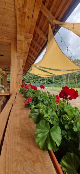 Pension PRISPA PREMIUM RESORT from Viseu De Sus, Maramureș picture 8