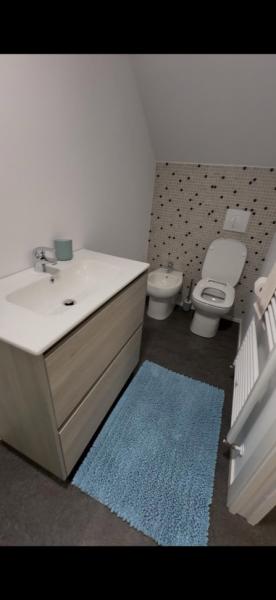 Cabin CABANA 5 BANUTI from Borsa, Maramureș picture 15