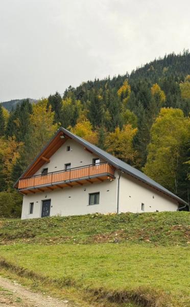 Cabin CABANA 5 BANUTI from Borsa, Maramureș picture 2