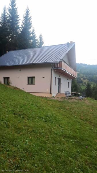 Cabin CABANA 5 BANUTI from Borsa, Maramureș picture 25