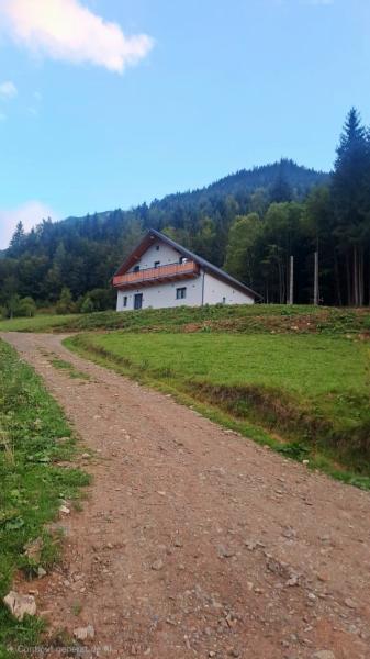 Cabin CABANA 5 BANUTI from Borsa, Maramureș picture 27