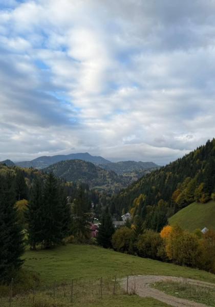 Cabin CABANA 5 BANUTI from Borsa, Maramureș picture 3
