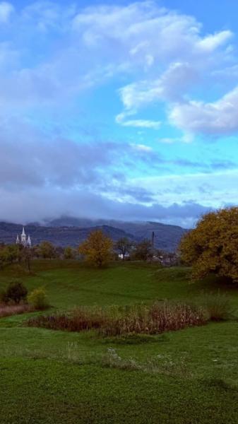 Cabin CABANA DIN DEAL RONA from Rona De Jos, Maramureș picture 2