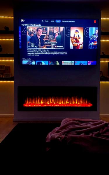 Cabin CABANA DIN DEAL RONA from Rona De Jos, Maramureș picture 7