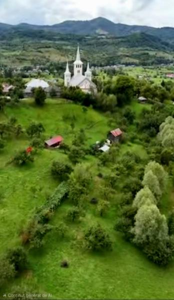 Cabin CABANA DIN DEAL RONA from Rona De Jos, Maramureș picture 9