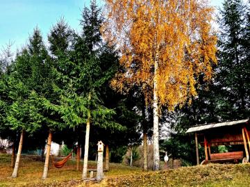 Vacation home CASA DIN SETREF from Sacel, Maramureș picture 34