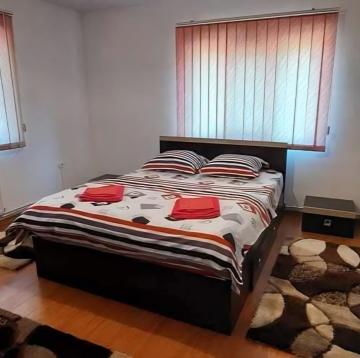 Pension CASA CEZAR BARSANA from Barsana, Maramureș picture 10