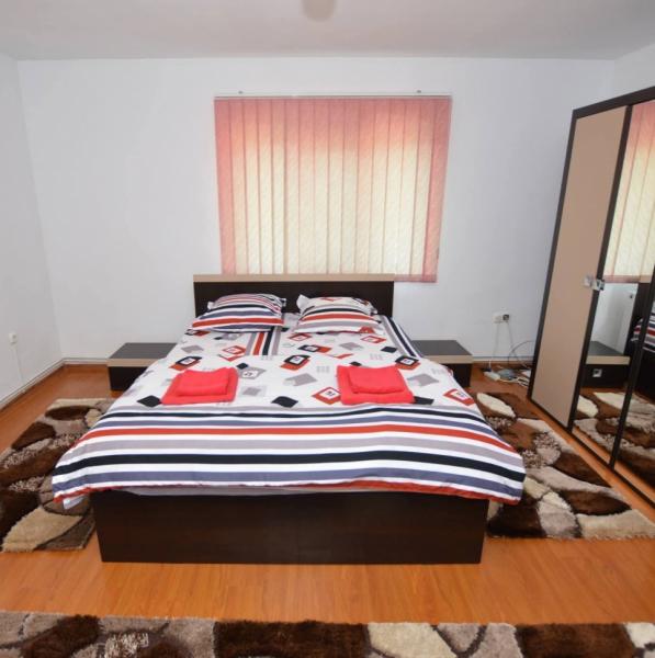 Pension CASA CEZAR BARSANA from Barsana, Maramureș picture 11