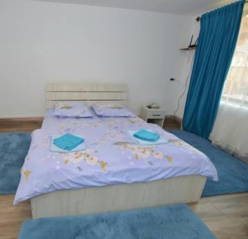 Pension CASA CEZAR BARSANA from Barsana, Maramureș picture 14