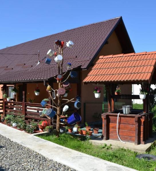 Pension CASA CEZAR BARSANA from Barsana, Maramureș picture 2
