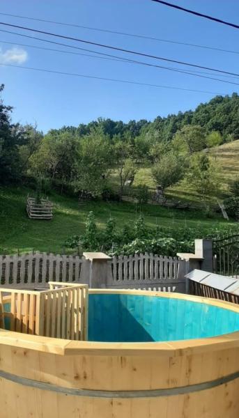 Pension CASA CEZAR BARSANA from Barsana, Maramureș picture 23