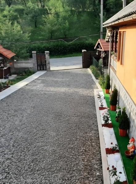 Pension CASA CEZAR BARSANA from Barsana, Maramureș picture 24