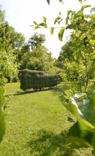Pension CASA CEZAR BARSANA from Barsana, Maramureș picture 25