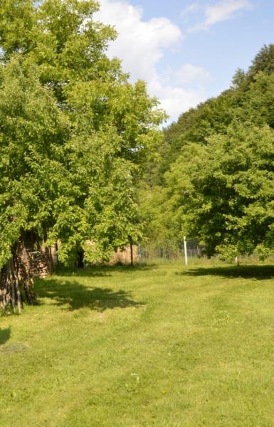 Pension CASA CEZAR BARSANA from Barsana, Maramureș picture 27