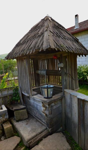 Pension CASA CEZAR BARSANA from Barsana, Maramureș picture 29