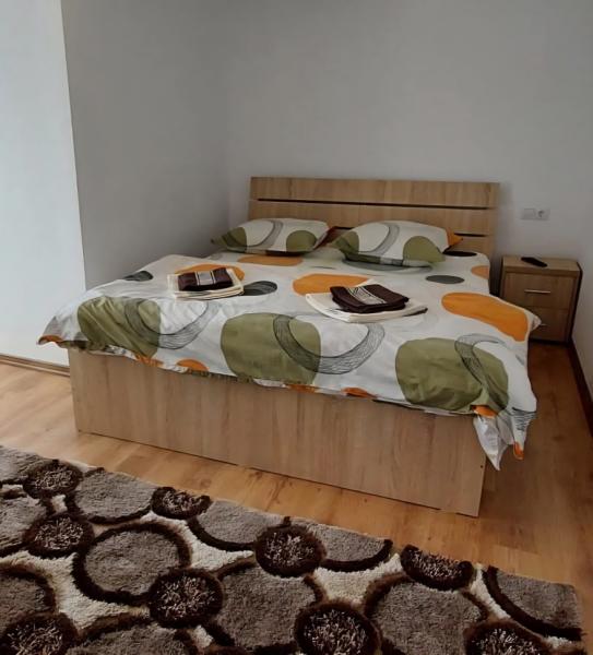 Pension CASA CEZAR BARSANA from Barsana, Maramureș picture 6