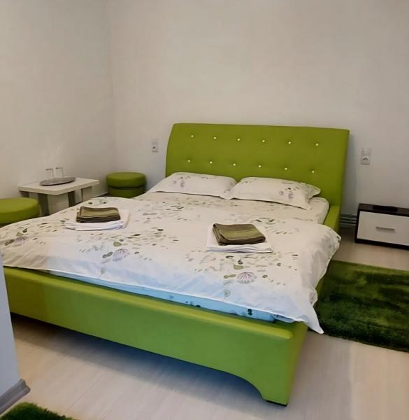 Pension CASA CEZAR BARSANA from Barsana, Maramureș picture 7