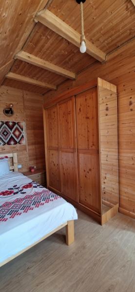 Vacation home CASA BELVEDERE from Baia Mare, Maramureș picture 21