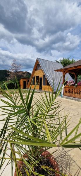 Vacation home CASA BELVEDERE from Baia Mare, Maramureș picture 3