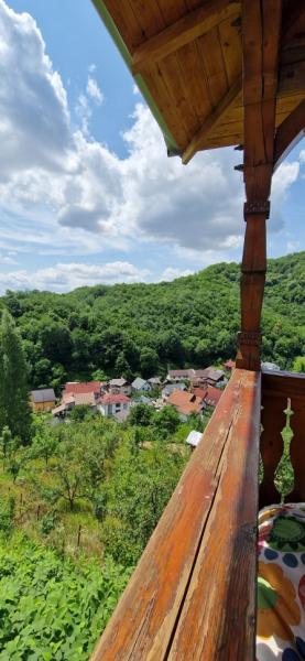 Vacation home CASA BELVEDERE from Baia Mare, Maramureș picture 31