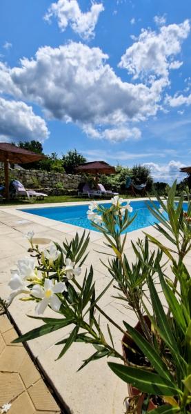Vacation home CASA BELVEDERE from Baia Mare, Maramureș picture 4