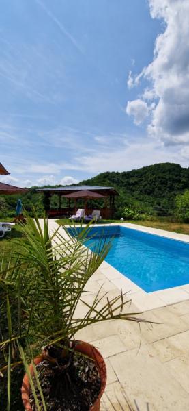Vacation home CASA BELVEDERE from Baia Mare, Maramureș picture 5