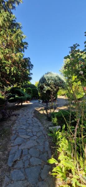 Pension CASA HOBAN from Sighetu Marmatiei, Maramureș picture 31