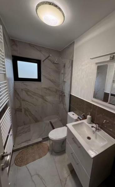 Pension CASA CROITORU from Oncesti, Maramureș picture 7
